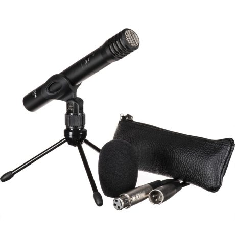 Tascam TM-60 - Condenser Microphone