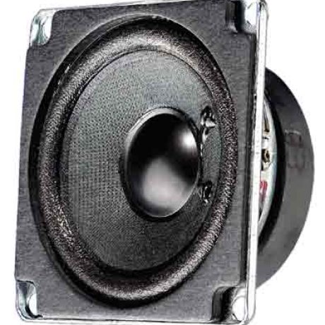visaton frws 5 full range speaker